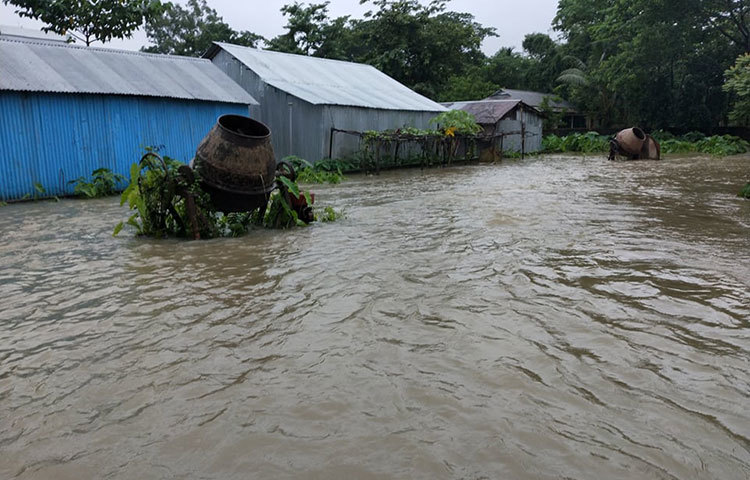 বৃষ্টিপাত ও পাহাড়ি ঢলের পানি অব্যাহত থাকলে বড় ধরনের বন্যার আশঙ্কা করছেন সংশ্লিষ্টরা। ছবি: মোসাইদ রাহাত