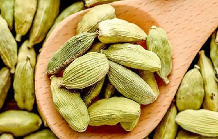 এলাচও সুইট টুথের ক্ষেত্রে কাজ দেয়। এই মশলাটি স্বাদে মিষ্টি। এটি সরাসরি মুখে রাখলে মিষ্টি খাওয়ার ইচ্ছে নিয়ন্ত্রণ করা যায়। ছবি: সংগৃহীত