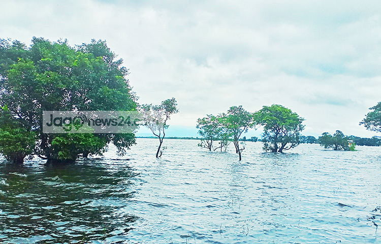 এ সময়ে পর্যটকদের আনাগোনা থাকলেও এখন করোনার কারণে হাওর এলাকা নীরব। ছবি: লিপসন আহমেদ