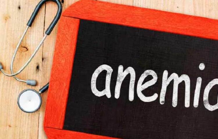 অ্যানিমিয়া দূর করতে সাহায্য করে: রক্তে হিমোগ্লোবিনের মাত্রা কম থাকলে অ্যানিমিয়ার সমস্যা দেখা দিতে পারে। যদি আয়রনের পরিমাণ বেশি থাকে, তাহলে হিমোগ্লোবিনের মাত্রা নিয়ন্ত্রণ করা সম্ভব হয়। তামা পানিতে আয়রন সঞ্চার করে, ফলে রক্তে আয়রনের মাত্রা বাড়তে পারে। তাই তামার বোতলে পানি পানে অ্যানিমিয়ার সমস্যা কমতে পারে। এর পাশাপাশি, আয়রন কম থাকলে শ্বেত রক্তকণিকাও কমতে পারে। ছবি: সংগৃহীত