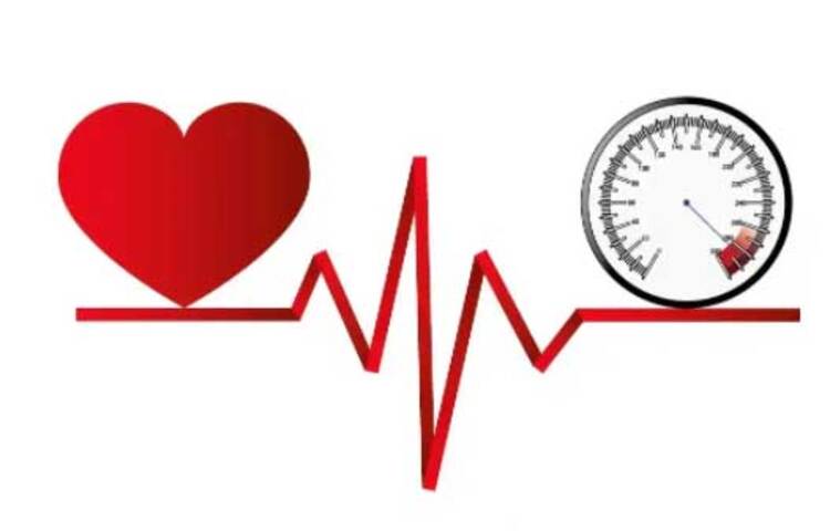 হাইপারটেনশন নিয়ন্ত্রণ করে: শরীরে তামার পরিমাণ কম থাকলে তা রক্তচাপে তারতম্য ঘটায়। বেশিরভাগ ক্ষেত্রেই উচ্চ রক্তচাপের সমস্যা দেখা দেয়। এবং তামা কোলেস্টেরলও নিয়ন্ত্রণে রাখে। সব মিলিয়ে হাইপারটেনশন রোধ করতে এর প্রয়োজনীয়তা রয়েছে। ফলে শরীরে তামার পরিমাণ ঠিক রাখতে তামার পাত্রে পানি পান করা যেতে পারে। ছবি: সংগৃহীত