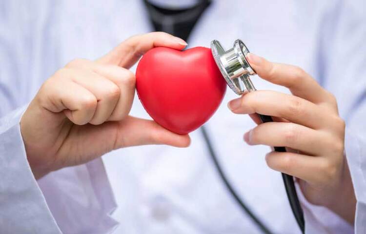 হার্টের জন্য ভালো: ধমনীতে রক্ত চলাচল সচল রাখতে সাহায্য করে তামা। আর রক্ত চলাচল ঠিক থাকলে হার্টেও সমস্যা হয় না। ফলে হার্ট ভালো থাকে। ছবি: সংগৃহীত