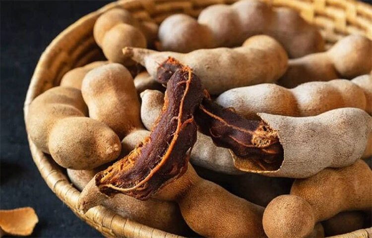 ফাইবার সমৃদ্ধ তেঁতুল শরীরের মেটাবলিজম বৃদ্ধি করে। পরিপাক ক্রিয়াকে সুস্থ রাখে। হজম প্রক্রিয়া দ্রæত হয় ডায়েটে নিয়মিত তেঁতুল থাকলে। ছবি: সংগৃহীত