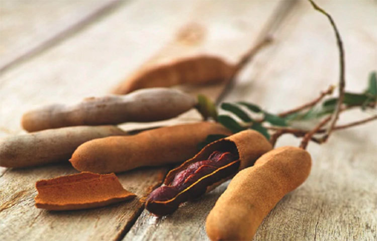 পেপটিক আলসারে অনেকেই ভোগেন। খুবই যন্ত্রণাদায়ক। তেঁতুল পেটের মধ্যে এই আলসার রুখে দেয়। তেঁতুলে থাকা পলিফেনল এই ধরনের আলসার তৈরি হতে দেয় না।