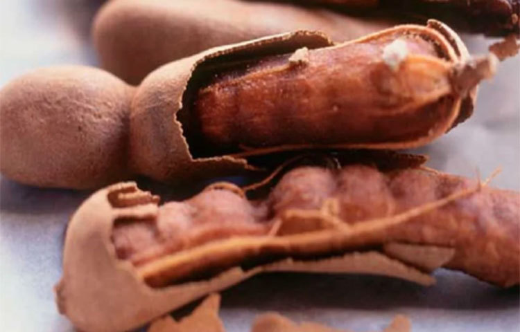 লিভার ভালো রাখে তেঁতুল। ফ্যাটি লিভার হয়ে গেলে, ডায়েটে রোজ তেঁতুল রাখার পরামর্শ দিচ্ছেন বিশেষজ্ঞরা। লিভার আবার আগের অবস্থায় ফিরে আসে।