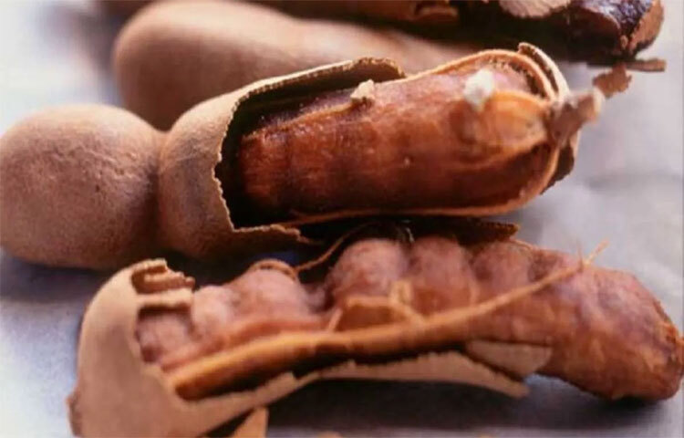 তেঁতুলের অ্যান্টি ইনফ্লেম্যাটরি বৈশিষ্ট্য আর্থ্রাইটিস, গাঁটের ব্যথাসহ অন্যান্য যন্ত্রণার উপশম করে। আয়ুর্বেদশাস্ত্রে অনেকদিন ধরেই ওষুধি হিসেবে তেঁতুলের ব্যবহার প্রাচীন। ছবি: সংগৃহীত