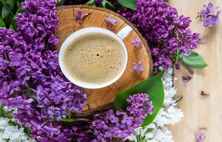 চায়ে দুধ মেশালে হৃদরোগের সমস্যাও বাড়ে। ছবি: সংগৃহীত