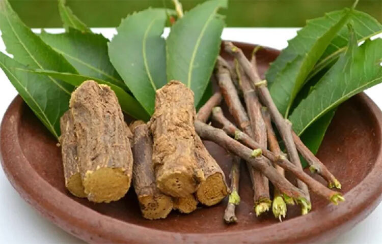 হলুদে কারকিউমিন রয়েছে, যা মাড়ির সুস্থতা বজায় রাখে। ছবি: সংগৃহীত