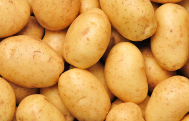 আলুর রস দাঁতের গোড়ায় লাগান। অথবা আলু কুচি নুন মাখিয়ে ব্যথা দাঁত দিয়ে চিবোন। ছবি: সংগৃহীত