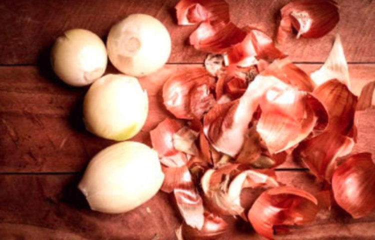 পেঁয়াজের কড়া গন্ধ একেবারেই সহ্য করতে পারে না টিকটিকি। এর জন্য পেঁয়াজ কেটে ঘরের বিভিন্ন কোণায়, জানলায় আর দরজার গোড়ায় রেখে দিন। এইভাবে টিকটিকি দূরে থাকবে। পেঁয়াজের ঝাঁঝালো গন্ধ একদমই সহ্য করতে পারে না টিকটিকি। পেঁয়াজের রস আর পানি মিশিয়ে সেটা ঘরে স্প্রে-ও করতে পারেন। এছাড়া ন্যাপথলিনের গন্ধও সহ্য করতে পারে না টিকটিকি।