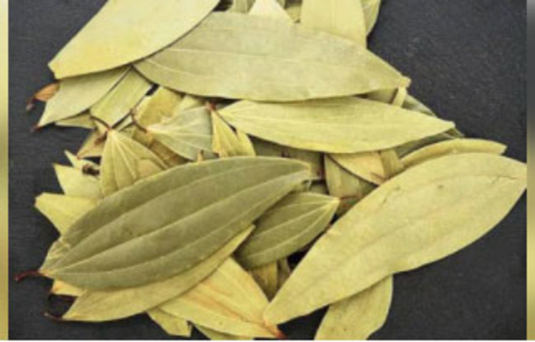 এতগুলো উপায়ের পাশাপাশি টিকটিকি তাড়ানোর আরও একটা ভালো উপায় আছে। সেটা হল তেজপাতা পোড়ানো। একটা তেজপাতা পুড়িয়ে সেই গন্ধ যদি বাড়ির বিভিন্ন কোণায় ছড়িয়ে দিতে পারেন। তাহলেই কেল্লাফতে! নিমেষে পালাবে টিকটিকি। কয়েকদিন তেজপাতা পোড়ালেই তা কাজে দেবে। আর আসবে না টিকটিকি।