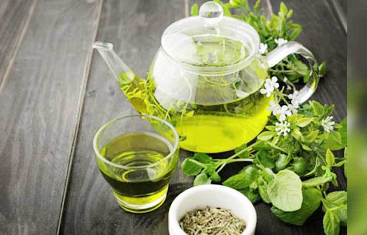 গ্রিন টি ও পুদিনা: গ্রিন টি ও পুদিনা এই দুই উপকরণেই প্রচুর পরিমাণে অ্যান্টি-অক্সিড্যান্টস উপাদান থাকে। এই দুই দিয়ে পানীয় বানিয়ে খেলে তা ওজন কমাতে সাহায্য করবে। হজমের সমস্যা দূর হবে, পেটের সমস্যা দূর হবে এবং সেখান থেকেও শরীর সুস্থ থাকার সম্ভাবনা থাকবে। পেট ভালো থাকলে ওজনও নিয়ন্ত্রণ করা যেতে পারে। সঙ্গে বেলি ফ্যাটও কমতে পারে। ছবি: সংগৃহীত