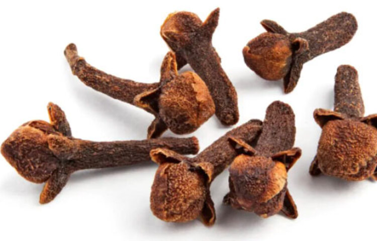 দাঁতে যন্ত্রণা: আমাদের প্রত্যকেরই কমবেশি দাঁতের যন্ত্রণার অভিজ্ঞতা রয়েছে যে এটা কতটা অসহ্যকর। তাই দাঁতের যন্ত্রণায় লবঙ্গ চিবিয়ে খেলে যন্ত্রণা অনেকটা কমবে।