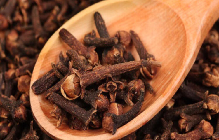 ফ্লু: ভাইরাল ফিভার ও অনেক অসহ্যকর আর তাতে একটু আরাম বোধ হওয়ার জন্য হালকা গরম জলে ১০ ফোঁটা লবঙ্গ তেল ও মধু মিশিয়ে খেয়ে নিন। ভাইরাল ফিভারে কাজে দেবে।