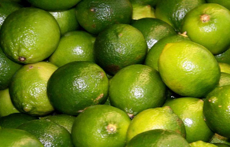 ভিটামিন সি শরীরে রোগ প্রতিরোধ ক্ষমতা গড়ে তুলতে সবচেয়ে জরুরি। ত্বক ও চুল ভালো রাখতেও এটি অত্যন্ত কার্যকরী। শরীরে যদি ভিটামিন সি-র ঘাটতি হয় তা হলে অসম্ভব দুর্বলতা ও ক্লান্তি অনুভূত হয়। শরীরে লোহিত রক্ত কণিকা গঠনে আয়রন অন্যতম উপাদান। আপনার ডায়েট থেকে আয়রন শোষণ ও তার যথাযথ প্রয়োগে সাহায্য করে এই ভিটামিন। তাই ক্লান্তি দূর করে শরীরকে সতেজ রাখে ভিটামিন সি। শরীরে এই ভিটামিনের ঘাটতি পূরণ করতে প্রয়োজন অনুযায়ী টক জাতীয় ফল, কিউই, আনারস, লেবু, পেঁপে, স্ট্রবেরি, তরমুজ ও আম খান। ছবি: সংগৃহীত