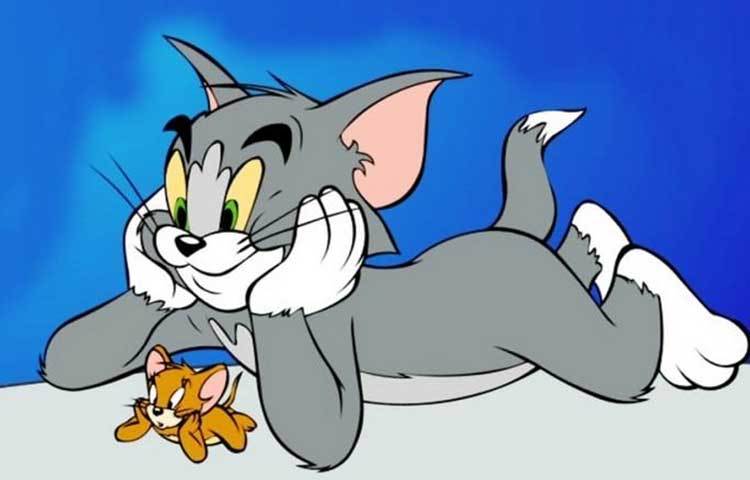 পরের দুই দশকে প্রায় ১০০টি ছোট পরিসরের কার্টুন তৈরির পেছনে ছিলেন হ্যান্না ও বারবেরা।