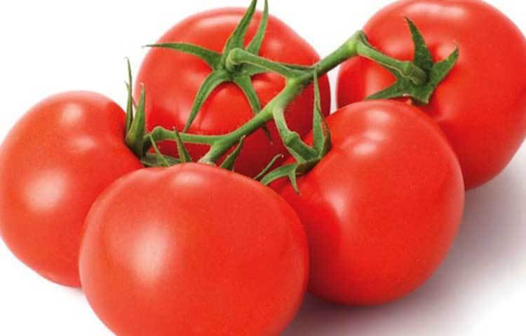 টমেটোতে প্রচুর পরিমাণে আমিষ, ক্যালসিয়াম, ভিটামিন-এ এবং ভিটামিন-সি রয়েছে। টমেটোতে লাইকোপেন নামে বিশেষ উপাদান রয়েছে, যা ফুসফুস, পাকস্থলী, অগ্ন্যাশয়, কোলন, স্তন, মূত্রাশয়, প্রোস্টেট ইত্যাদি অঙ্গের ক্যানসার প্রতিরোধে সহায়তা করতে পারে।