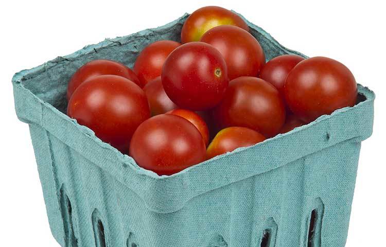 টমেটোতে থাকে ভিটামিন-কে-১, যা রক্তজমাট বাঁধা ও হাড়ের স্বাস্থ্য রক্ষায় গুরুত্বপূর্ণ ভূমিকা নেয়। টমেটোর ত্বকে থাকে ন্যারিনজেনিন ফ্ল্যাবনয়েড, যা প্রদাহ বা জ্বালা কমাতে ও বিভিন্ন অসুখবিসুখে সুরক্ষার কাজ করে।