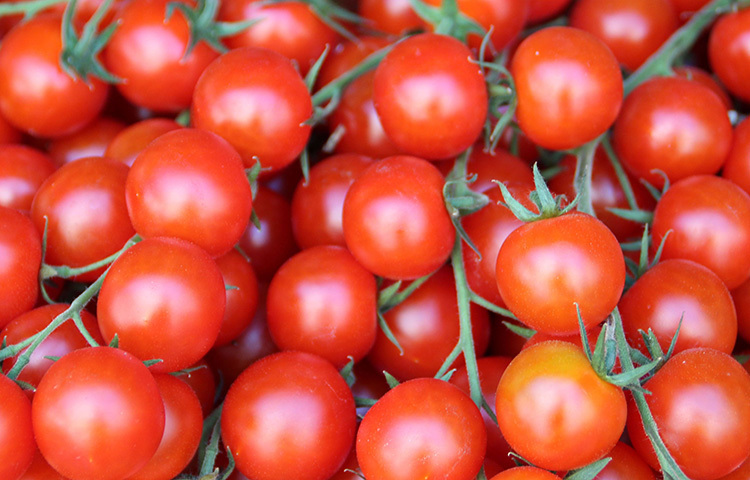 এরপর টমেটো গরম পানিতে দু-তিন মিনিট ফোটানোর পর খোসা ছাড়িয়ে নিন। ছবি: সংগৃহীত