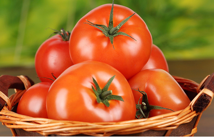 শরীরের মেটাবলিজম জোরদার করে: টমেটোতে রয়েছে অ্যান্টিঅক্সিডেন্ট লাইকপেনে যা কোলেস্টেরলের মাত্রা নিয়ন্ত্রণ, চোখ ও ত্বকের সুরক্ষা এবং রোগ প্রতিরোধ ক্ষমতা বৃদ্ধি করে। গবেষণায় দেখা যায়, লাইকোপেনে প্রাকৃতিকভাবে মেটাবলিজম নিয়ন্ত্রণ করতে পারে। এর ফলে শরীরের মেদ ঝরে ওজন দ্রুত কমে। ছবি: সংগৃহীত