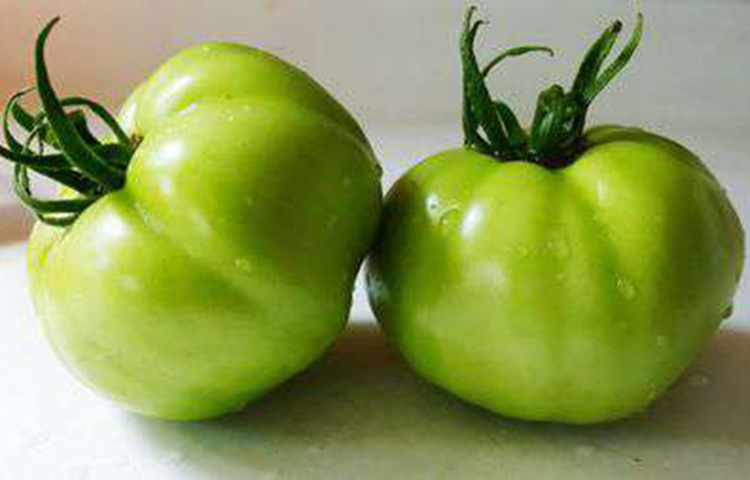 ধূমপান থেকে বাঁচায়: টমেটোয় রয়েছে কিউমেরিক এবং ক্লোরোজেনিক অ্যাসিড, যা কার্সিনোজের প্রভাব থেকে শরীরকে রক্ষা করে। ফলে ক্যান্সার রোগে আক্রান্ত হওয়ার সম্ভাবনা হ্রাস পায়। তাই যারা একান্তই ধূমপান ছাড়তে পারছেন না, তারা দয়া করে দিনে ২-৩ টা কাঁচা টমেটো খাওয়া শুরু করুন। দেখবেন উপকার পাবেন।