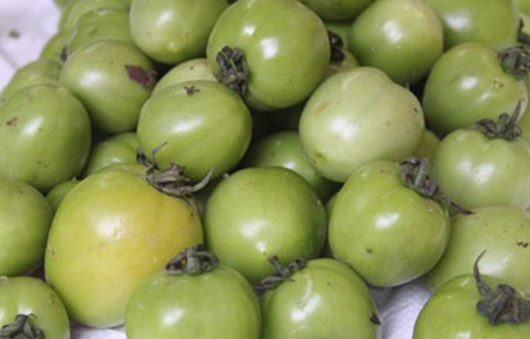 অ্যান্টিঅক্সিডেন্টের ঘাটতি দূর: কখনও খাবারের সঙ্গে তো কখনো অন্যভাবে আমাদের শরীরে টক্সিক উপাদানের প্রবেশ ঘটে। এই ক্ষতিকারক উপাদানগুলো যাতে শরীরের কোনো ক্ষতি করতে না পারে সেদিকে খেয়াল রাখে অ্যান্টিঅক্সিডেন্ট। সেই সঙ্গে একাধিক রোগের হাত থেকেও রক্ষা করে। টমেটো যেহেতু অ্যান্টিঅক্সিডেন্ট সমৃদ্ধ, তাই শরীরকে সুস্থ রাখতে নিয়মিত কাঁচা টমেটো খাওয়ার পরামর্শ দিয়ে থাকেন অনেক চিকিৎসক।