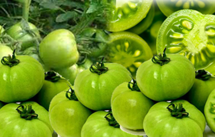 চুলের সৌন্দর্য বৃদ্ধি পায়: চুলের উজ্জ্বলতা বৃদ্ধিতে ভিটামিন-এ-এর কোনো বিকল্প হয় না বললেই চলে। আর এই উপাদানটি প্রচুর মাত্রায় রয়েছে টমেটোতে। তাই দীর্ঘদিন যদি চুলকে সুন্দর রাখতে চান, তাহলে কী করণীয়, তা নিশ্চয় আর আলাদা করে বলে দিতে হবে না। প্রসঙ্গত, দৃষ্টিশক্তির উন্নতিতেও ভিটামিন-এ বিশেষ ভূমিকা পালন করে থাকে।