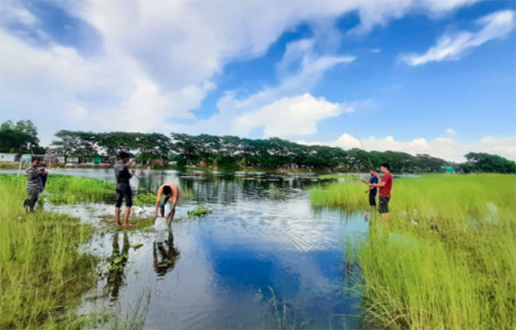 যদি চার-পাঁচজনের টিম হয়, তাহলে সরাসরি সিএনজি ভাড়া নিতে পারেন সারিঘাট পর্যন্ত। ভাড়া পড়বে ১২০-১৮০ টাকা। জুরাইন থেকে সিএনজি ভাড়া করলে ১০০-১২০ টাকা লাগবে। অবশ্যই দরদাম করে নেবেন। ঢাকা শহরের যেকোনো জায়গা থেকে জুরাইন রেলগেট। জুরাইন রেলগেট থেকে সরাসরি রিজার্ভ সিএনজিতে সারিঘাট।