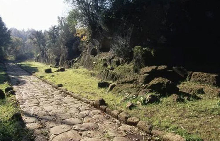 প্রাচীন এই শহর, ফালেরি নোভির সন্ধানে উনিশ শতকেই শুরু হয়েছিল অনুসন্ধান। নব্বইয়ের দশকে করা হয় ম্যাগনেটিক সার্চ। তার ফলে অনেকটাই স্পষ্ট ধারণা পাওয়া সম্ভব হয়েছিল মাটির নীচে চাপা পড়া নগরীর কোথায় কোথায় কী আছে।