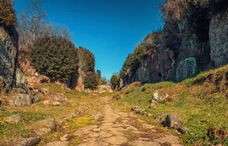 পাশাপাশি, বাজার এবং বড় গোসল ঘরের কাঠামোর নিদর্শনও পাওয়া গিয়েছে বলে জানান ইতিহাসবিদরা। তবে সবথেকে বড় বিস্ময় অপেক্ষা করে আছে ফালেরি নোভি-র পানীয় জলের যোগান ব্যবস্থায়।