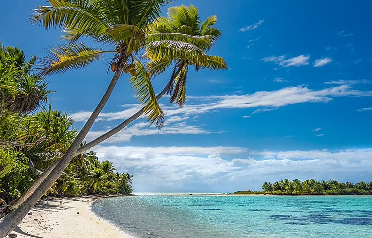 সেন্ট লুসিয়া ভীষণ সুন্দর একটি দর্শনীয় স্থান। মার্টিনিক, বার্বাডোস এবং সেন্ট ভিনসেন্টের মধ্যে অবস্থিত একটি ক্যারিবিয়ান দ্বীপ এটি। জানা যাচ্ছে, এটিও খুলে দেয়ার সম্ভাবনা রয়েছে। ছবি: ডেইলি মেইল