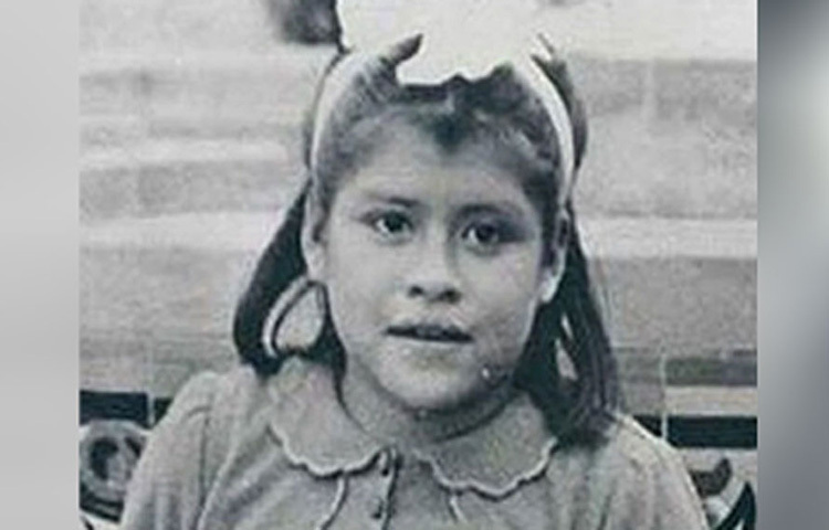 এই ঘটনা সামনে আসার সঙ্গে আরো একটি বিষয় সামনে এসেছিল। লিনার উপর হওয়া যৌন হেনস্থার বিষয়। ছোট্ট লিনার সন্তানের বাবাকে তা নিয়েও তদন্ত শুরু হয়। ছবি: সংগৃহীত