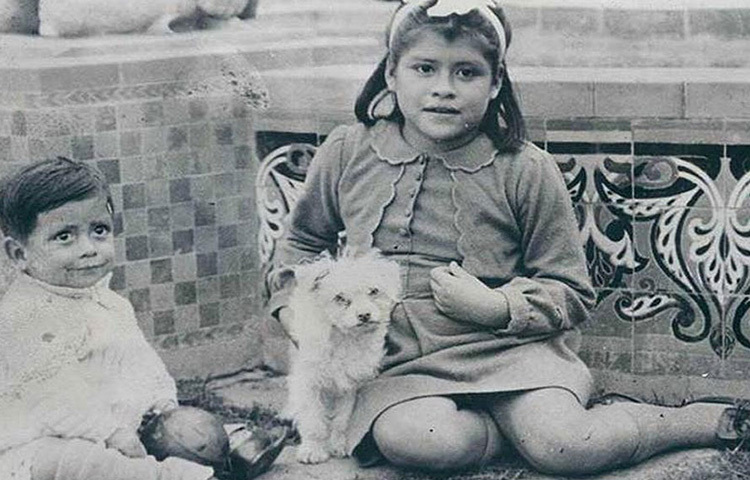 লিনা মেদিনা পেরুর বাসিন্দা। লিনার এই পরিস্থিতির কথা নিমেষে সারা বিশ্বে ছড়িয়ে পড়েছিল। সাংবাদিকদের ঢল নেমেছিল। তাকে নিয়ে, তার জীবনযাপন নিয়ে একাধিক তথ্যচিত্রের জন্য বড় অঙ্কের টাকার প্রস্তাবও পেয়েছিলেন তিনি। ছবি: সংগৃহীত