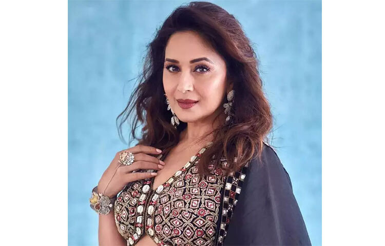 গত তিন বছরে মাধুরীর সম্পত্তির পরিমাণ বেড়ে দাঁড়িয়েছে ৪০ শতাংশ। ছবি: সংগৃহীত