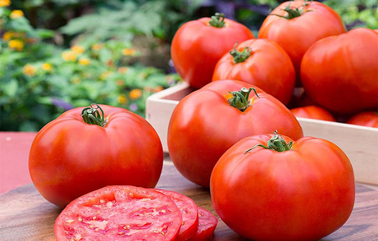 টমেটো: টমেটো ভিটামিন সি-তে ভরপুর একটি সবজি। এছাড়াও এতে রয়েছে ভিটামিন এ, ফাইবার, মিনারেল, ক্যালসিয়াম, ফসফরাস, রিবোফ্লাবিন, থায়ামিন ও সামান্য পরিমাণে ভিটামিন ডি, সালফার ও প্রচুর পানি আছে। টমেটোর এসব পুষ্টিগুণ আমাদের শীতকালীন বিভিন্ন রোগ প্রতিরোধ ক্ষমতা বাড়ায়।