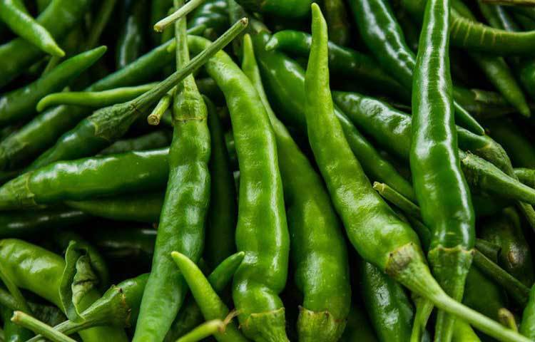 কাঁচা মরিচ ভালো রাখার অন্যতম উপায় চেন টানা ছোট ব্যাগ। এতেও রাখতে পারেন কাঁচা মরিচ। এ ক্ষেত্রেও কাঁচা মরিচের বোট ছিঁড়ে নেবেন। এই ব্যাগ ফ্রিজে রাখুন।