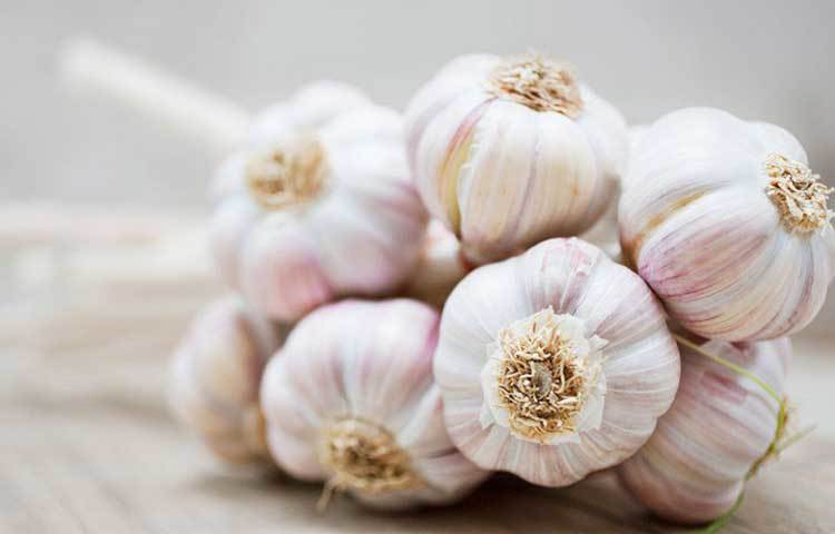 রসুন: পেঁয়াজের মতোই রাখুন রসুনকে। কাগজের ঠোঙায় রেখে, ফুটো করে দিন কয়েকটা। খোলা জায়গায় রাখুন। এভাবে রাখলে ফ্রিজে না রাখলেও ভালো থাকবে রসুন।