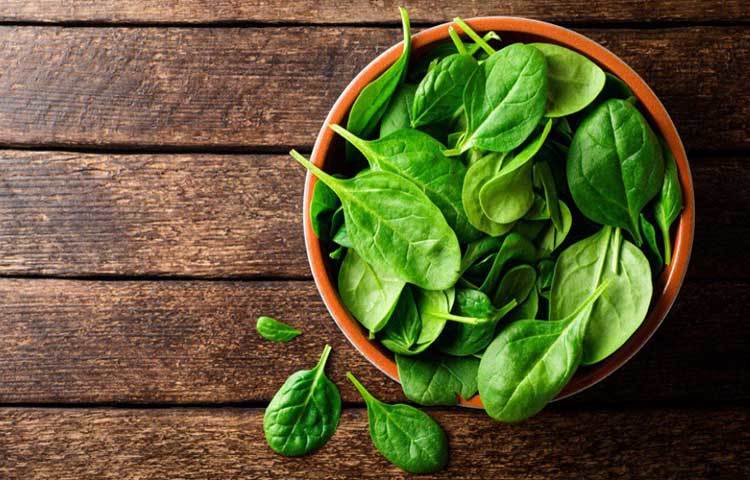 শাক: বাড়িতে এনেই শাক ধুয়ে ছাড়িয়ে সংরক্ষণ করে রাখেন অনেকে। শাক কিন্তু টাটকা রাখতে চাইলে বাড়িতে এনেই ধোয়ার দরকার নেই। বরং ঝুড়িতে ভরে অন্ধকার অথচ হাওয়া চলাচল করে এমন জায়গায় রাখুন। রান্না করার আগে ধুয়ে নিলেই চলবে।