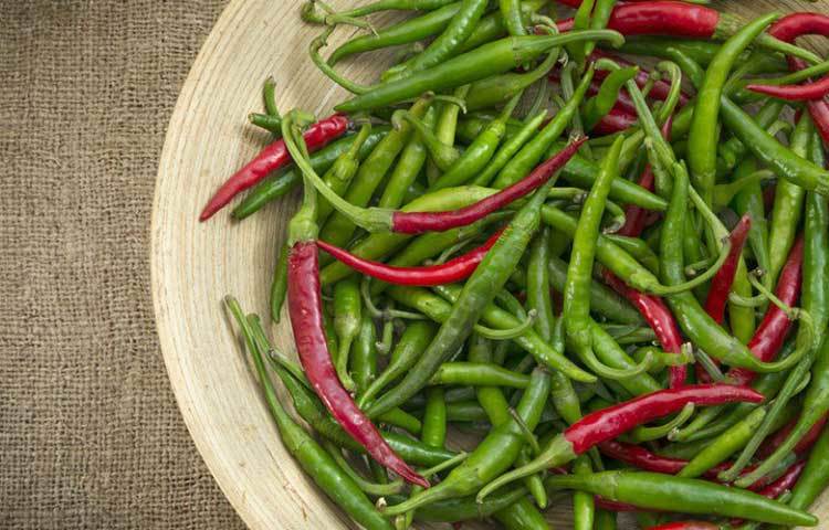 কাঁচা মরিচ: বাতাস ঢোকে না এমন কোনো পাত্র থাকলে তাতে রাখুন কাঁচা মরিচ। রাখার আগে পাত্রের নিচে হালকা নরম কাপড় বিছিয়ে দেবেন। মরিচের বোঁটা ছিঁড়ে রাখুন। এতে মরিচ সহজে পচে না। এবার মুখ বন্ধ পাত্রটি অন্য আর একটি নরম কাপড়ে ঢেকে নিন। বাড়ি থেকে দীর্ঘ দিনের জন্য কোথাও বেড়াতে গেলেও এইভাবে রেখে যেতে পারেন কাঁচা মরিচ। এরপর এই পাত্র ফ্রিজে ঢুকিয়ে রাখতেও পারেন। আরও ভালো ফল পেতে অ্যালুমিনিয়াম ফয়েল পেঁচিয়ে রাখুন কাঁচা মরিচ।