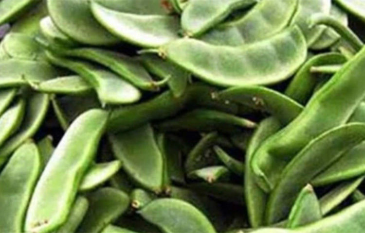 শিমের বীজে আছে প্রচুর পরিমাণ অ্যান্টিঅক্সিড্যান্ট। এতে থাকা অ্যান্টি ইনফ্ল্যামেটরি উপাদান হৃদরোগও নিয়ন্ত্রণ করে। শোনা যায় চুলের জন্যেও শিম খুব উপকারী। ছবি: সংগৃহীত