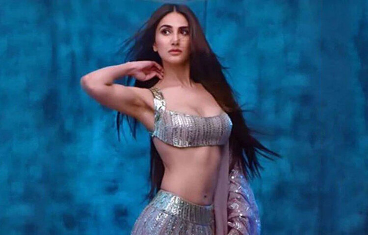 স্নাতক শেষ করার পরে তিনি প্রথমে ইনটার্নশিপ করেন জয়পুরে ওবেয়র হোটেলস অ্যান্ড রিসোর্টস থেকে। পরে চাকরি করেন ভারতের আইটিসি গোষ্ঠীর হোটেলে। এরপর চাকরি ছেড়ে পা রাখেন মডেলিংয়ের দুনিয়ায়। ছবি: সংগৃহীত