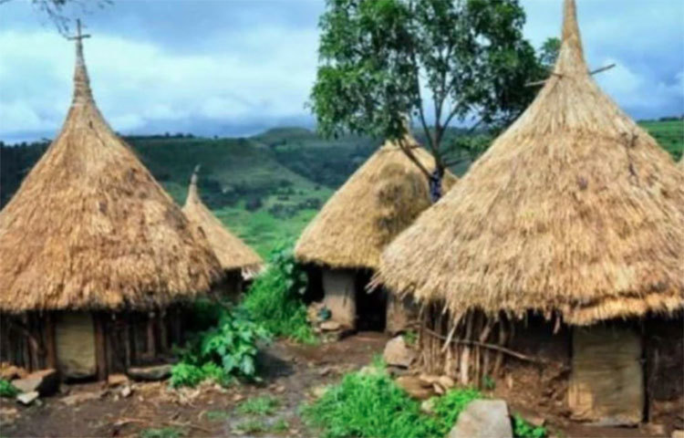 শুধু মানুষই নয়, এই নিয়ম থেকে বাদ পড়ে না গ্রামের গৃহপালিত পশুরাও। জন্মের কিছুদিনের মধ্যে রহস্যজনকভাবেই দৃষ্টিশক্তি হারায় তারাও!