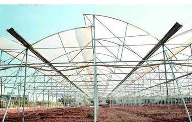 প্রথমেই খুব লাভ হতে শুরু করে তা নয়। হাতে কলমে কাজ করতে গেলে অনেক ভুলভ্রান্তি হয়, আর তা থেকেই শেখা যায়। বিপিনের ক্ষেত্রেও তা-ই হয়েছিল।