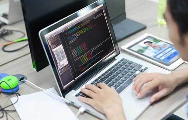 বিপিন পেশায় একজন কম্পিউটার প্রোগ্রামার। কম্পিউটার সায়েন্সে স্নাতক বিপিন একটি কোম্পানিতে চাকরি পেয়ে যান।