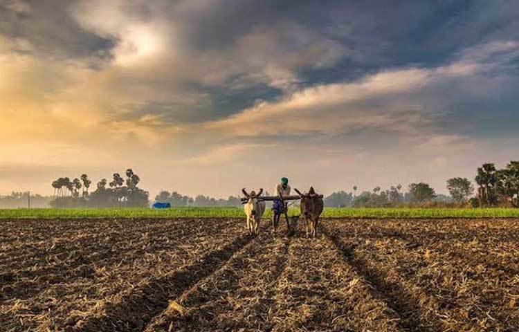 বিপিনের বাবা চাষবাস করেই জীবিকা নির্বাহ করেন। তিনি প্রথম থেকেই স্থির করে ফেলেছিলেন, তার দুই ছেলেকে কখনো এই কষ্টের পেশায় আনবেন না। তারা দু’জনেই ভালো চাকরি করবেন।