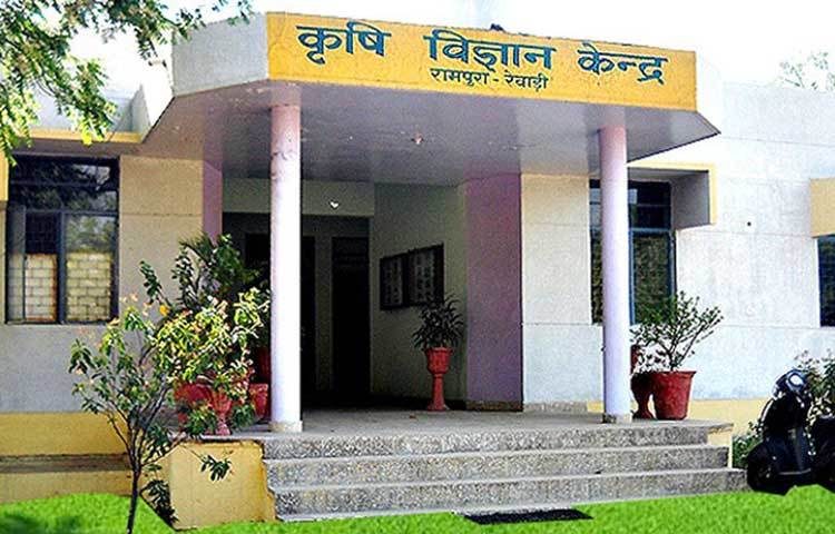 এক বন্ধুর পরামর্শে বিপিন বাড়ির কাছের কৃষি বিজ্ঞান কেন্দ্রে একটি প্রশিক্ষণে যোগ দেন। কীভাবে লাভজনক উপায়ে কৃষিকাজ করা যায়, কী ভাবে প্রচুর জমি ছাড়াই চাষাবাদ করা যায়, এরকম নানা বিষয়ে জ্ঞান লাভ করেন তিনি।