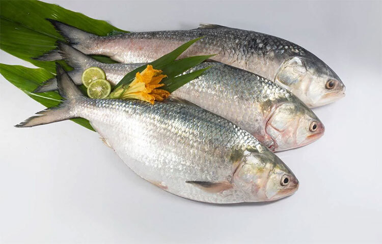 মাছে ভিটামিন ‘কে’ থাকে পর্যাপ্ত পরিমাণে। বেকড, গ্রিলড ফিশ খেলে আপনার শরীরে ভিটামিন ‘কে’ এর চাহিদা পূরণ হবে। ছবি: সংগৃহীত