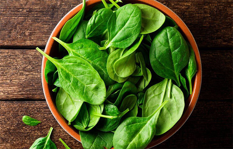 পালং শাকের বিটা ক্যারোটিন থাকার ফলে রোগ প্রতিরোধ শক্তি বৃদ্ধি পায়। সেইসঙ্গে দৃষ্টিশক্তি, ত্বকের সুস্থতা, হাড়ের স্বাস্থ্যের মতো বিষয়গুলোও এই ভিটামিনের উপর নির্ভর করে। ভিটামিন ‘ই’ এবং ভিটামিন ‘সি’-এর মতো অ্যান্টিঅক্সিড্যান্টও আছে এতে প্রচুর। ছবি: সংগৃহীত