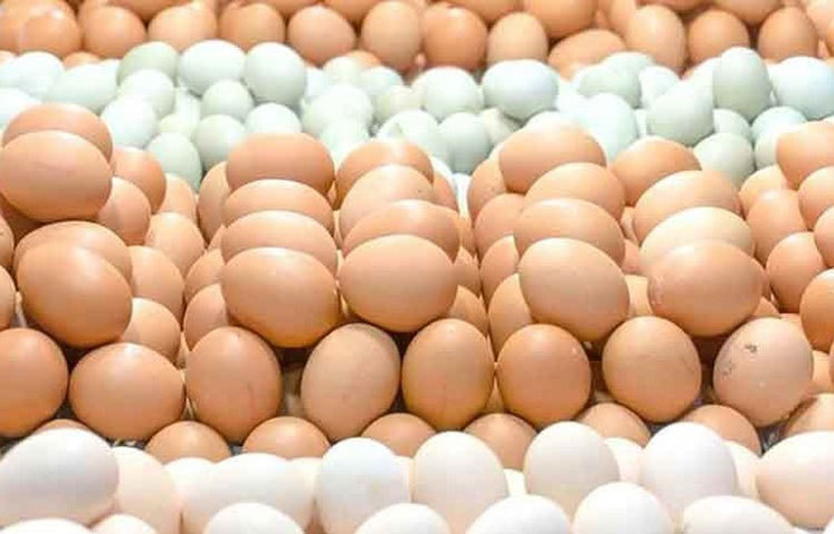 ডিম: প্রোটিনের সঙ্গে সঙ্গে ভিটামিন ‘এ’-র গুরুত্বপূর্ণ উৎস ডিম। তাই খাদ্যতালিকায় ডিম সবদিক থেকে উপকারি।