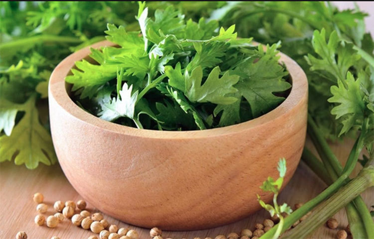 ধনে পাতা: ধনে পাতার গন্ধ যতটা ভালো, ততটাই উপকারি। ভিটামিন ‘এ’ ও অ্যান্টি অক্সিডেন্টের অফুরন্ত ভাণ্ডার ধনে পাতা। শরীরের রোগ প্রতিরোধ ক্ষমতা বাড়াতে সাহায্য করে। কিডনির সমস্যা দূর করতেও সাহায্য করে ধনে পাতা।